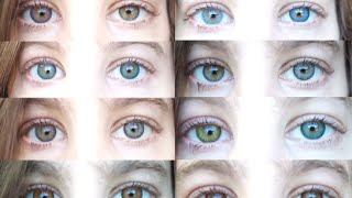 Color Contacts All 12 Freshlooks Color Contact Lenses [upl. by Evalyn109]