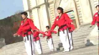 Poomsae Taekwon Dance Taegeuk 1 Jangmpg [upl. by Inilam]