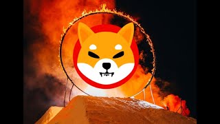 SHIBA INU SHIB  Análise de hoje 26022022 SHIB shibainu XRP ripple BTC bitcoin ETH [upl. by Caassi]