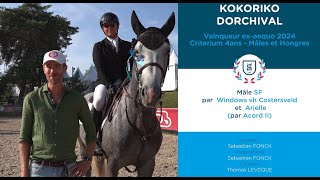 Fontainebleau 2024  Interview Vainqueur du criterium 4 ans EntiersHongres  KOKORIKO DORCHIVAL [upl. by Amlas]