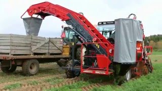 Dewulf P3K Profi  1row mounted top lifing harvester with elevator [upl. by Fennell]