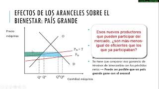 Unidad 7 Instrumentos de política comercial Arancel en país grande Parte 2 de 4 [upl. by Notliw262]