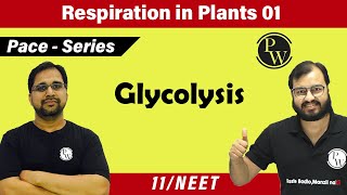 Respiration in Plants 01 Glycolysis  Class 11  Pace series  NEET [upl. by Korenblat]