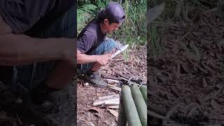 bushcraft build camp camping survival shelter wildlife skills lifehacks forest [upl. by Einwahr]