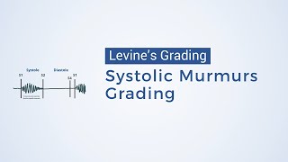 Grading of Systolic Murmurs  Levines Grading [upl. by Chancey269]