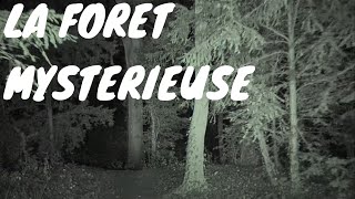 LA FORET MYSTERIEUSE [upl. by Burford]