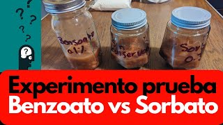 🟡 Usar benzoato o sorbato 📝 haciendo prueba con Bensoato y sorbato [upl. by Cob]