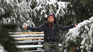 Snowfall कहा मिलेगा Manali  Shimla  Sissu  Best time for Snowfall [upl. by Oek394]