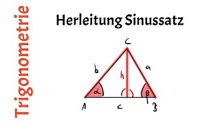 8 Herleitung Sinussatz  Trigonometrie [upl. by Oflodur]