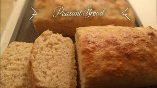 Easy Peasant Bread [upl. by Killam917]