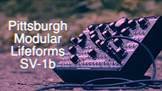 Introducing the Pittsburgh Modular SV1b Modular Synthesizer [upl. by Akemat]