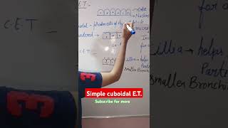 Simple cuboidal Epithelium Biology class 11 biology  shorts  NEET [upl. by Alesiram230]