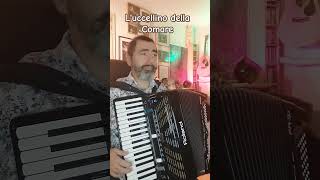 Luccellino della Comare  Folk Song Italian accordeon musica music fisarmonicista [upl. by Kelsi405]