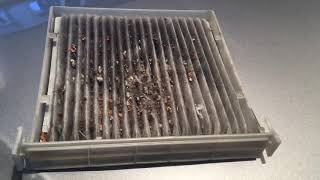 Cabin Air Filter Replacement  2007 Toyota Prius [upl. by Jannery]