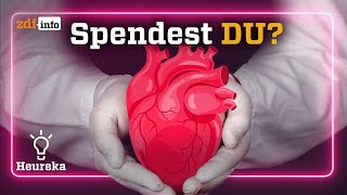 Organspende ❤️ Darum ist das deutsche System schlecht  Heureka [upl. by Erreid]