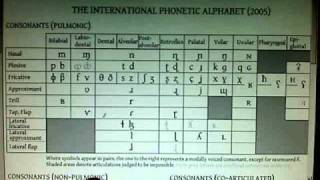 American English consonant sounds part 1 Introduction [upl. by Edmanda622]