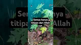 Hanya titipan dari Allah swtdakwahislamic kisahmotivasiislam nasehatislampopuler kisahislami [upl. by Llerrom]