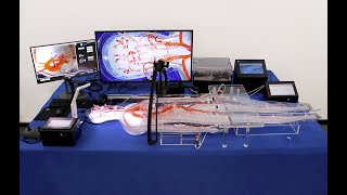 Operation Video for Endovascular Intervention Trainer System [upl. by Mok]