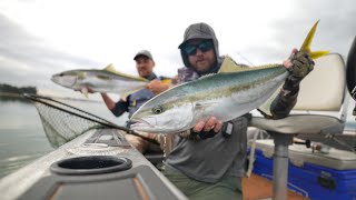 Fly Fishing In New Zealand is not Just For Trout [upl. by Donelson]