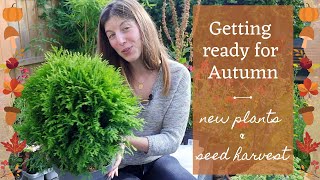 Whats New in the Garden  Harvesting Foxglove and Nasturtium Seeds  Get Ready For Fall 🍁🍂 [upl. by Dincolo]