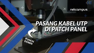 Pemasangan Kabel UTP di Patch Panel [upl. by Yanej]