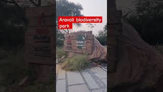 Aravalli biodiversity park shorts nature love travel mountains viralvideo shortvideo [upl. by Rosemarie]