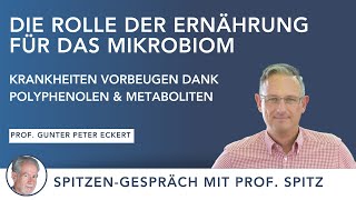 Ernährung und Gesundheit Wie Polyphenole und deren Metabolite uns vor Krankheiten schützen [upl. by Rolyat648]