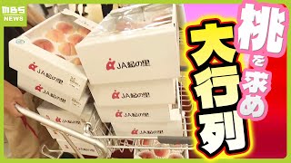 今が旬『あら川の桃』を求めて朝から大行列！「１２箱買った」「ほかの桃が食べられないほどおいしい」 和歌山・紀の川市（2024年7月9日） [upl. by Elyrehc490]