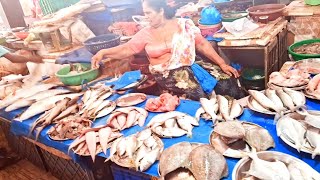 बडी मछली का बाजार Big Fish Market Goa Margao fish market in goa india [upl. by Adnofal41]