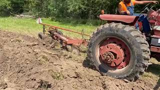 2020 Oblong IL Plow Day Allis Chalmers 190 XT LP Gas and IH 1066 Plowing [upl. by Anitaf]