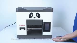 Procolored UV A4 Panda Printer Setup Process [upl. by Eneladgam541]