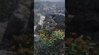 Arthurs Grave in rdr2 [upl. by Rettig565]