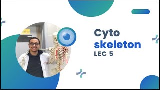 شرح المحاضرة الخامسة Histology1 CYTOSKELETON [upl. by Leong]