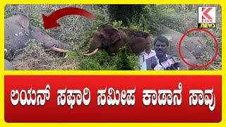 Shivamogga Breaking News  Elephant Death News Shimoga klivenews shimogga breakingnews elephant [upl. by Westleigh]