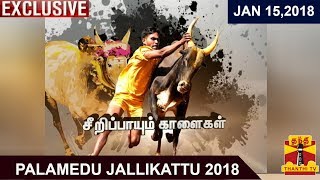 Palamedu Jallikattu 2018  Exclusive Coverage  Thanthi TV [upl. by Eelrahs]