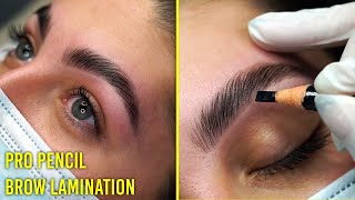 Follow along Brow Lamination tutorial for all eyebrow types Pro Pencil [upl. by Ahtenek]