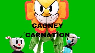 Cagney carnation [upl. by Aliemaj]