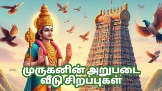 முருகனின் அறுபடை வீடு சிறப்புகள் murugan [upl. by Hynda]