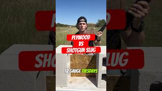 How many pieces of OSB does it take to stop a shotgun slug [upl. by Neeli]