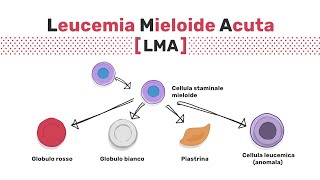 Tipi di leucemia mieloide acuta [upl. by Asta289]