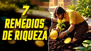 Los 7 Remedios para lograr la Riqueza [upl. by Adiarf348]