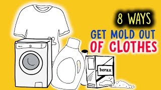 There Are 8 Easy Ways To Get Mold Out of Clothes [upl. by Linson]