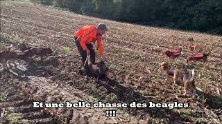 Chasse aux sangliers 2024  Le retour sur Youtube [upl. by Mcneil]