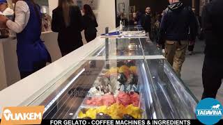 Everything for Gelato shops are Rubicone Ingredients and Gelatec gelato showcase  TADAVINA [upl. by Nary]