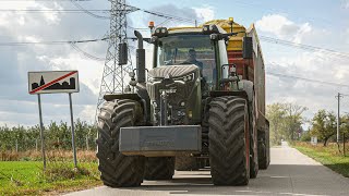 🌽 KUKURYDZA na KISZONKĘ ✮ ARMIA FENDTÓW  GR Bieniak [upl. by Hatch]