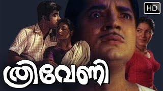 Thriveni Malayalam Full Movie  Sathyan Prem Nazir Sharadha [upl. by Liamaj248]