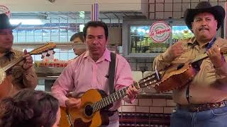 local Mariachi band performing at La Taqueria in San Francisco CA  October 2024 [upl. by Eelta23]