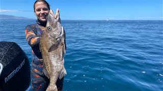 Wettie TV  SPEARFISHING Great Barrier ISLAND  SHARKS Snapper and Boarfish [upl. by Kev]