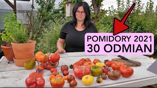 30 0DMIAN POMIDORÓW 2021 POMIDORY ROSYJSKIE UPRAWA POMIDORÓW Kasia in pomidory 2021 [upl. by Akenahc]