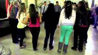 Lebanese Dabke dance at Independence Day event [upl. by Chicky]